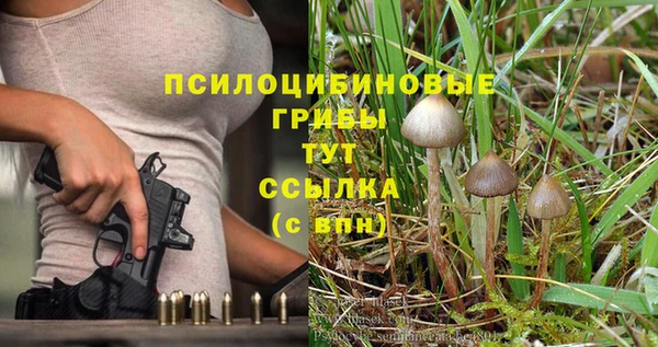дурь Ступино